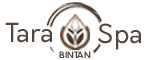Well And Spa Logo